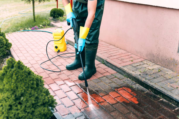Best Fence Cleaning  in Thorsby, AL