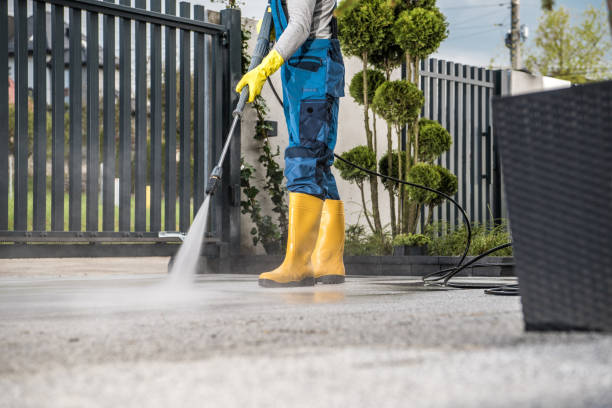 Animal Enclosure Cleaning in Thorsby, AL